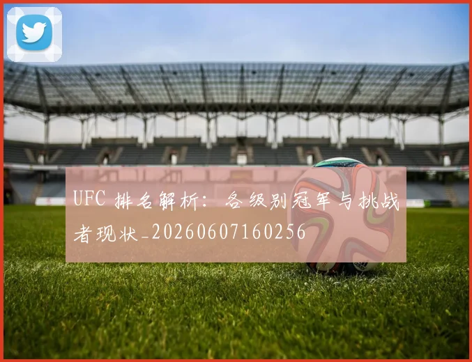 UFC 排名解析:各级别冠军与挑战者现状_20260607160256